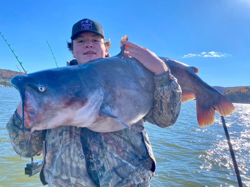 Best Catfish Guide