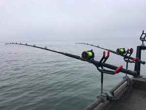 fishing charters near me